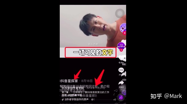 抖音上分手旅行抖音号_抖音斗鸡眼猫的抖音号_抖音seo